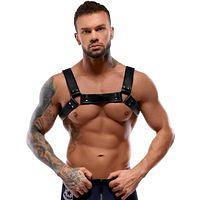 Harness aus Leder